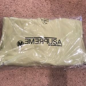 🐰 NWT Supreme USA Light Sage hoodie!